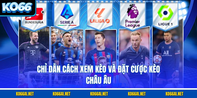 Chỉ dẫn cách xem kèo và đặt cược kèo châu Âu