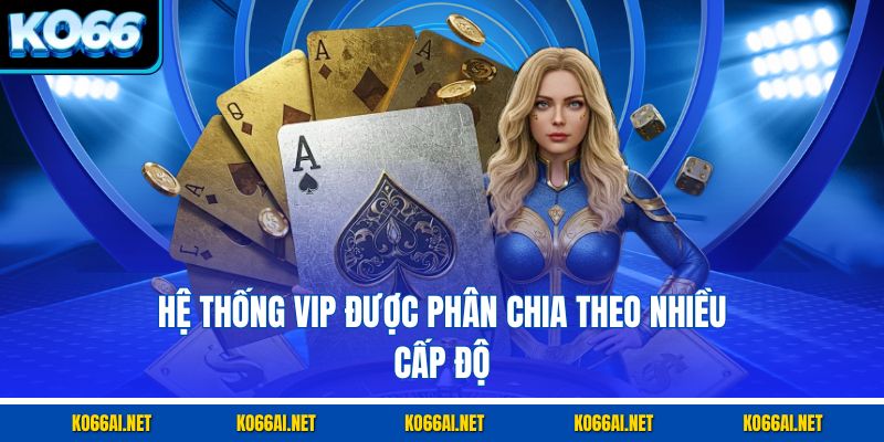 Hệ thống VIP được phân chia theo nhiều cấp độ