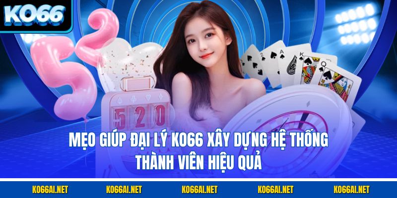 Mẹo giúp đại lý KO66 xây dựng hệ thống thành viên hiệu quả